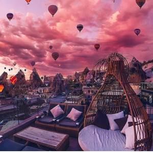 Meet your Posher, Walton